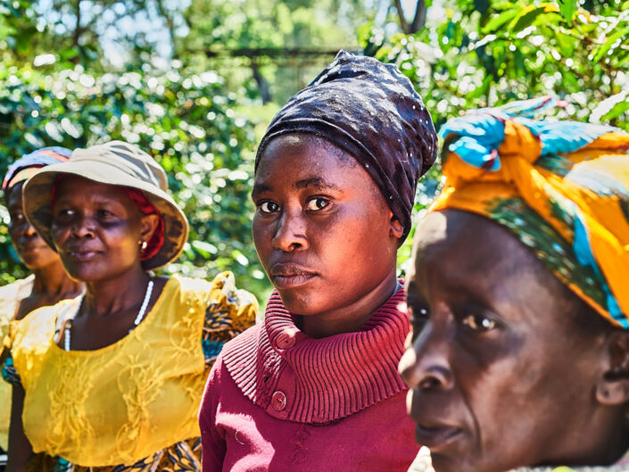 Frauen auf Kaffeeplantage in Tansania, Breiger, People Fotografie, Thilo Müller Photodesign, People Photography